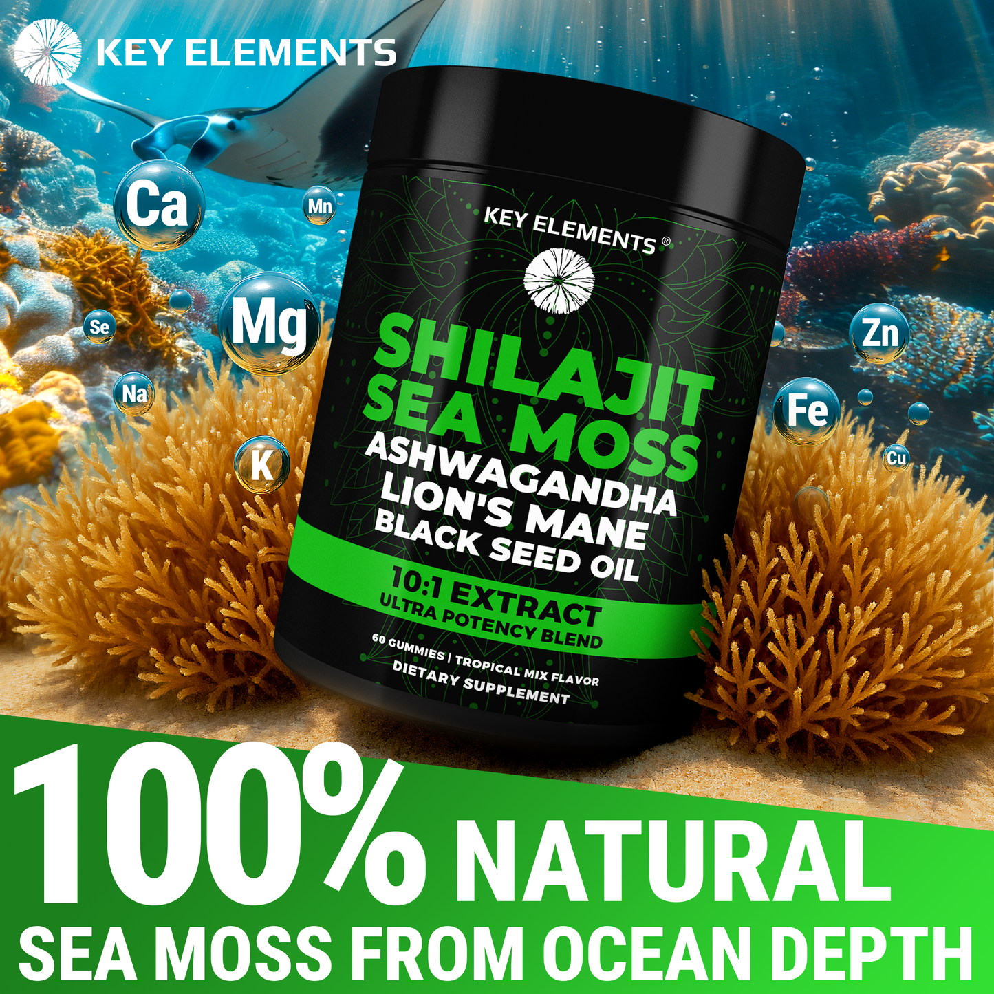 Himalayan Shilajit Gummies with Sea Moss for Immune, Energy & Brain Support
