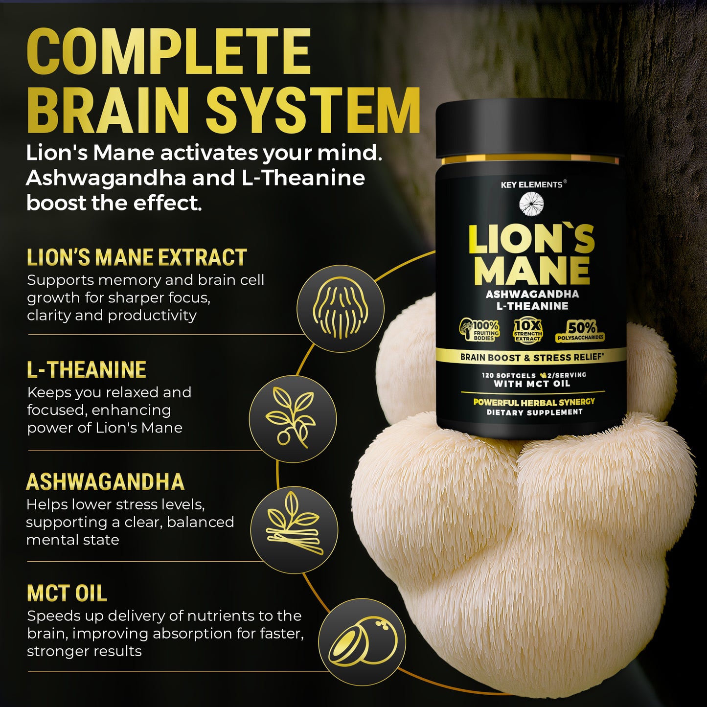 Lion’s Mane Extract with MCT Oil for Brain Support & Relaxed Focus