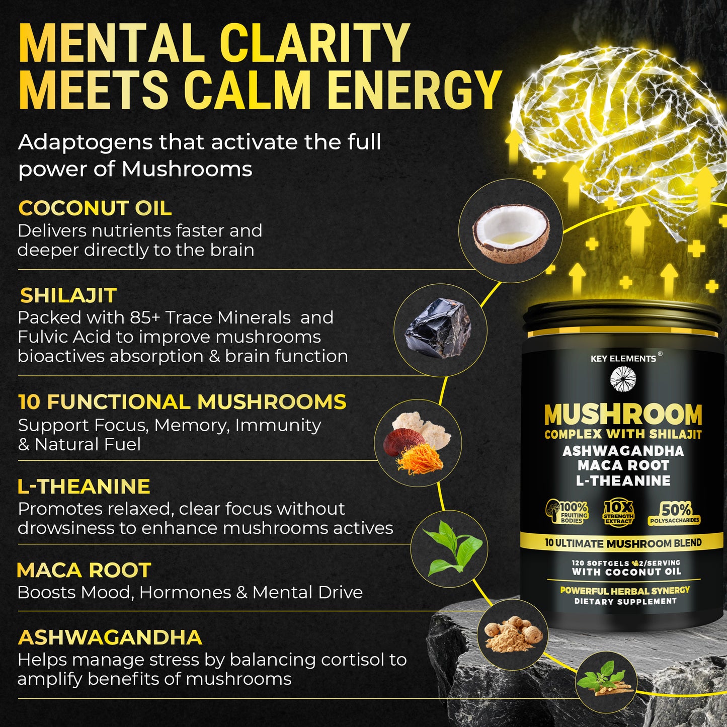 Mushroom Nootropic Complex with Coconut Oil for Immune, Memory & Focus