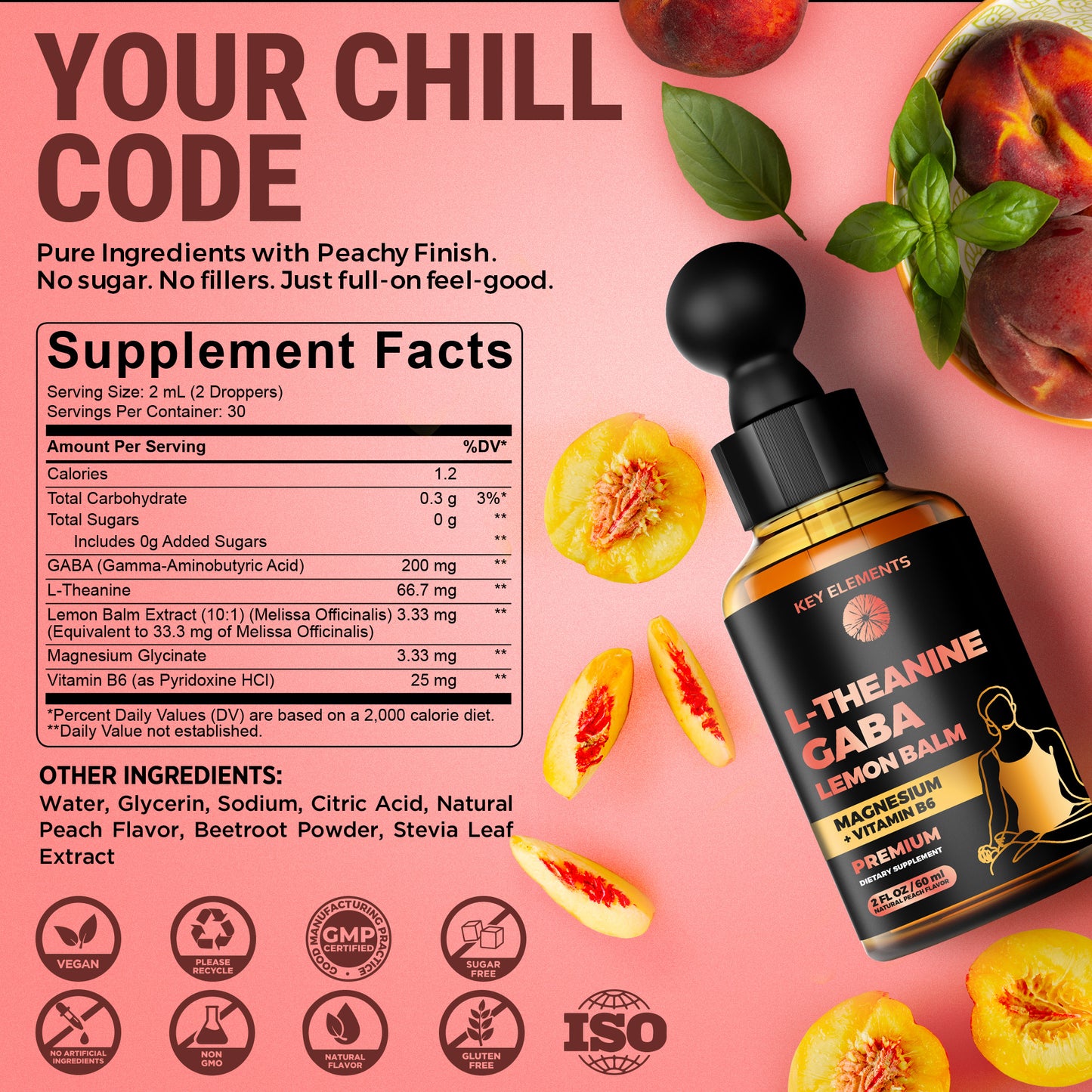 L Theanine and GABA Supplements | GABA Calming with Lemon Balm Extract, L-Theanine and Magnesium with B6 | Stress Relief & Relaxation GABA Drops