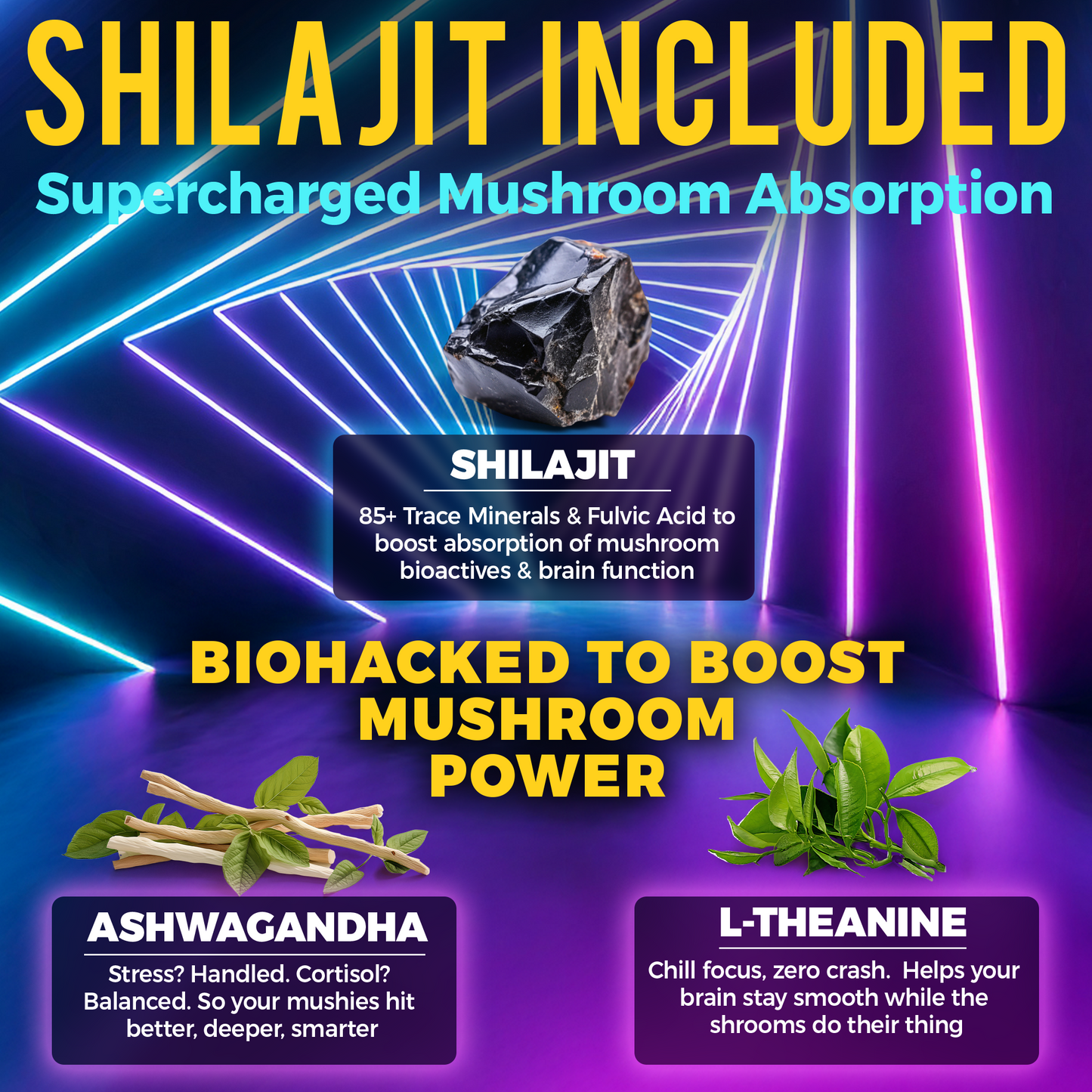 Next-Gen Mushroom Gummies with Ashwagandha and L Theanine - Mushroom Nootropic Supplement with Shilajit - Mushroom Complex Brain Support & Chill