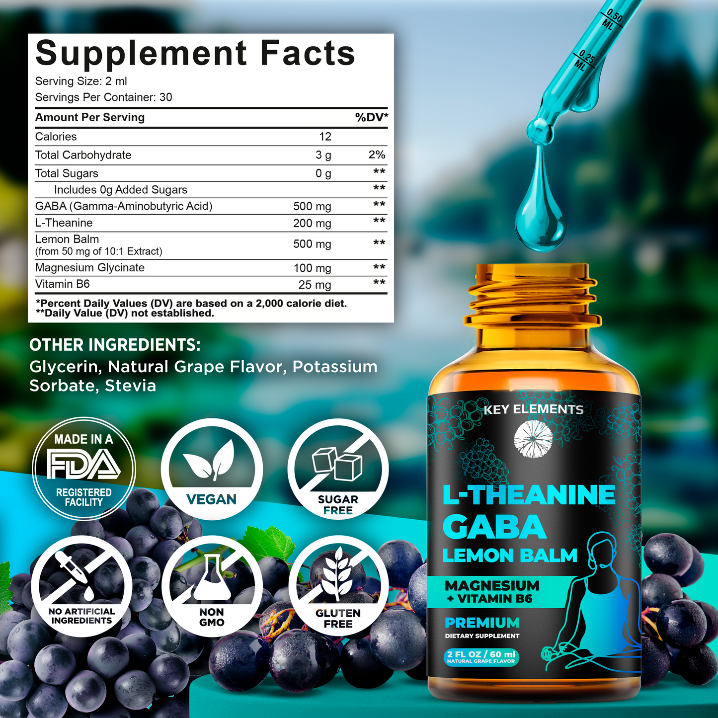 Liquid GABA with L Theanine Supplement | Gaba 500mg and L Theanine 200mg with Lemon Balm Extract, Magnesium with Vitamin B6