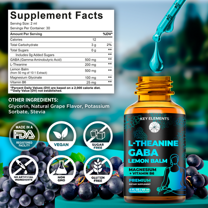 Liquid GABA with L Theanine Supplement | Gaba 500mg and L Theanine 200mg with Lemon Balm Extract, Magnesium with Vitamin B6