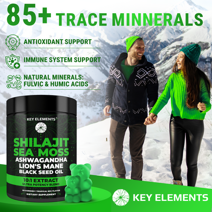 Himalayan Shilajit Gummies with Sea Moss for Immune, Energy & Brain Support