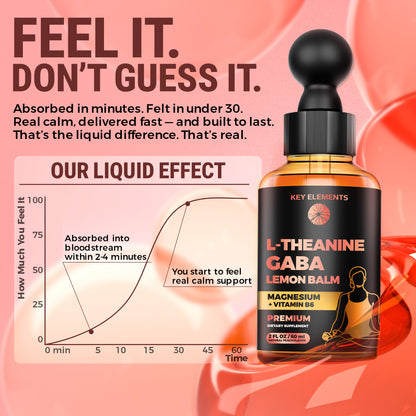 L Theanine and GABA Supplements | GABA Calming with Lemon Balm Extract, L-Theanine and Magnesium with B6 | Stress Relief & Relaxation GABA Drops