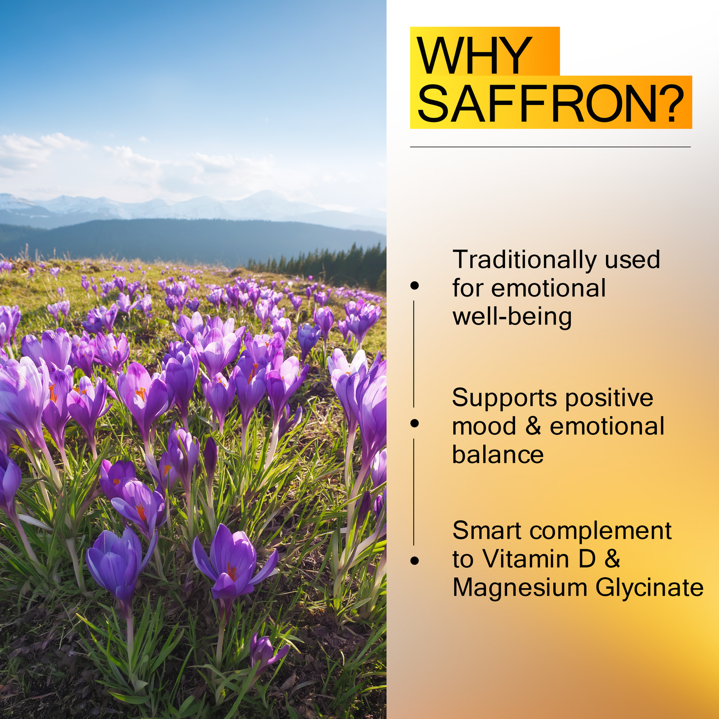 Sunny Day Vitamin D3 K2 10,000 IU with Magnesium Glycinate 400mg & Saffron 88.5mg - Mood, Immune, Bone Health