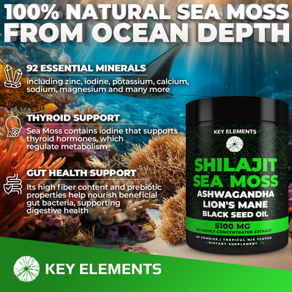 Organic Shilajit Gummies with Sea Moss Gummies - Pure Himalayan Shilajit and Ashwagandha with Sea Moss and Shilajit, Lion’s Mane Extract and Black Seed Oil