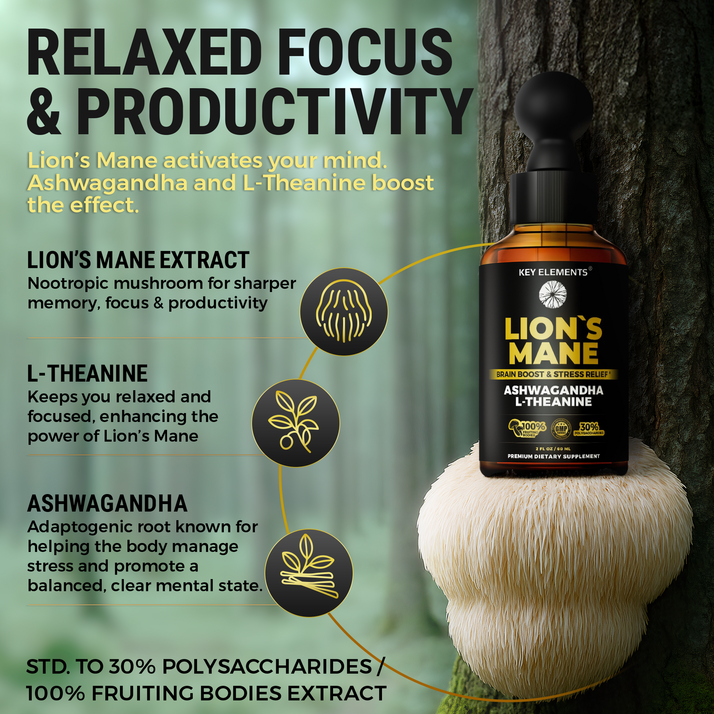 Smart Lions Mane Extract Drops for Memory, Focus & Brain Health