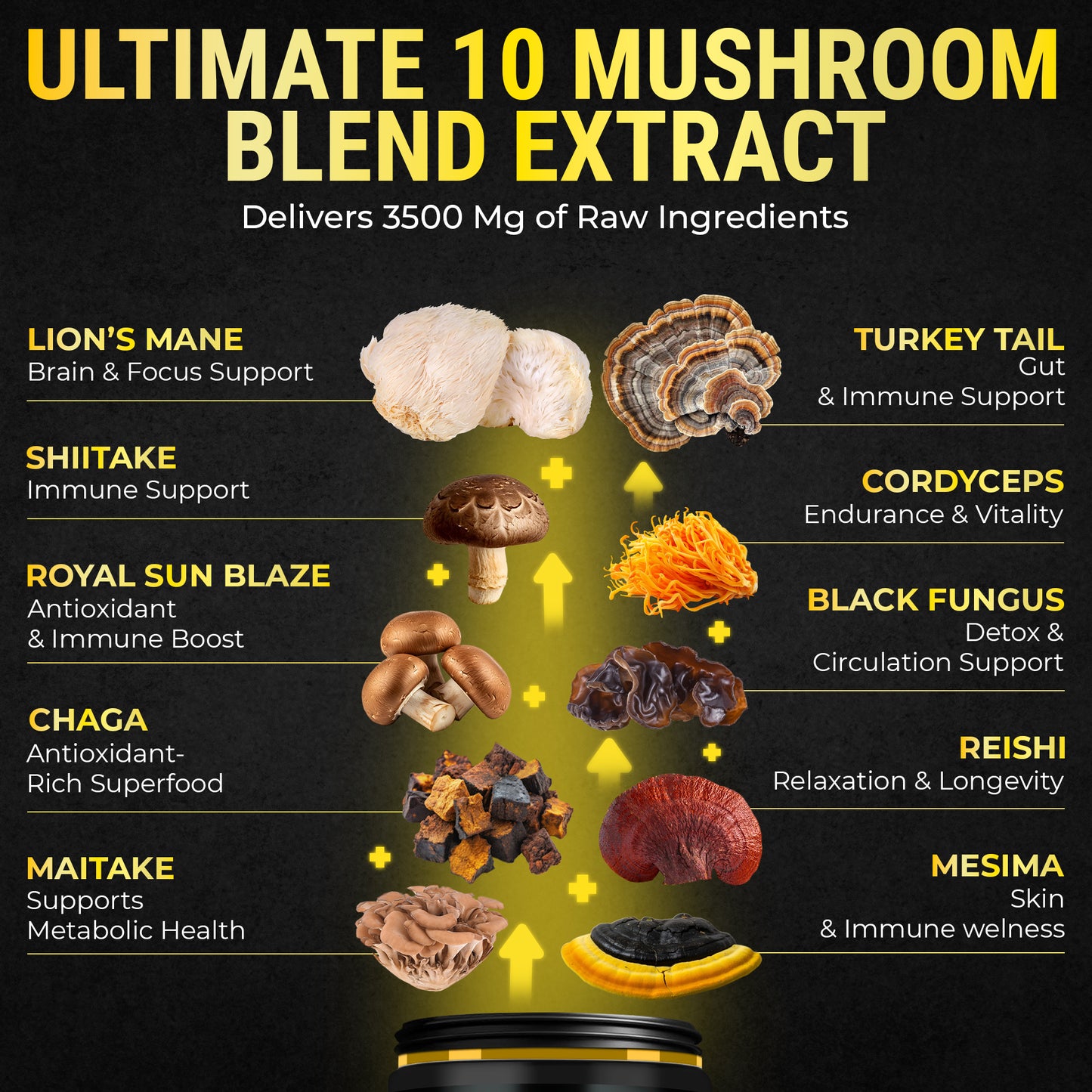 Organic Mushroom Complex with Shilajit & Coconut Oil Enhanced with Ashwagandha, L-Theanine & Maca Root - Mushroom Nootropic for Memory, Focus & Immune