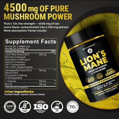 Lion’s Mane Extract with MCT Oil for Brain Support & Relaxed Focus