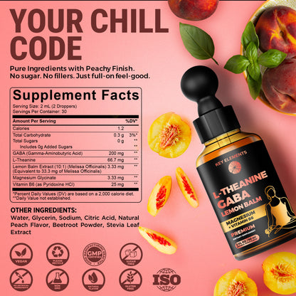 L Theanine and GABA Supplements | GABA Calming with Lemon Balm Extract, L-Theanine and Magnesium with B6 | Stress Relief & Relaxation GABA Drops