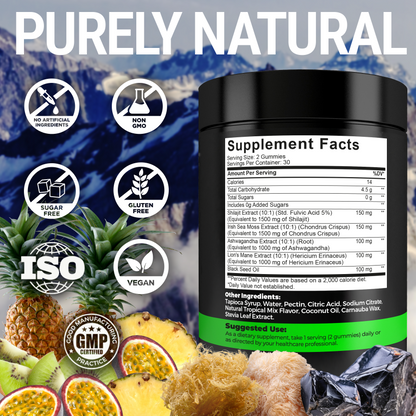 Himalayan Shilajit Gummies with Sea Moss for Immune, Energy & Brain Support